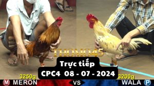 Trực Tiếp thomo CPC4 ngày 08-07-2024