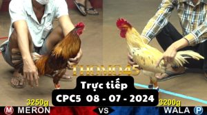 Trực Tiếp thomo CPC5 ngày 08-07-2024