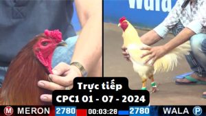 Trực Tiếp thomo CPC1 ngày 01-07-2024