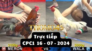 Trực Tiếp thomo CPC1 ngày 16-07-2024
