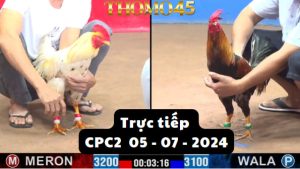 Trực Tiếp thomo CPC2 ngày 05-07-2024