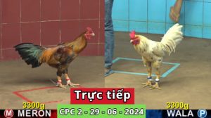 Trực Tiếp thomo CPC2 ngày 30-06-2024