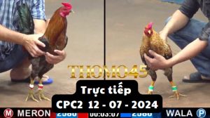 Trực Tiếp thomo CPC2 ngày 12-07-2024