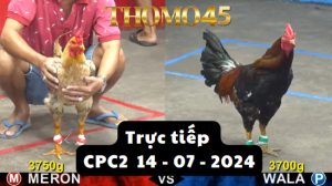 Trực Tiếp thomo CPC2 ngày 14-07-2024