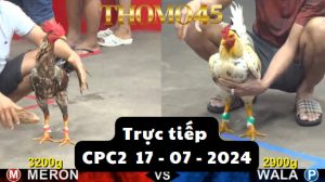 Trực Tiếp thomo CPC2 ngày 17-07-2024