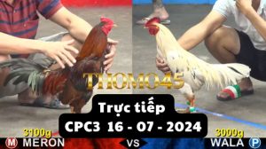 Trực Tiếp thomo CPC3 ngày 16-07-2024