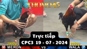 Trực Tiếp thomo CPC3 ngày 19-07-2024