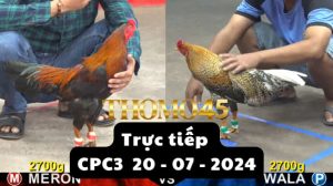 Trực Tiếp thomo CPC3 ngày 20-07-2024