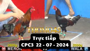 Trực Tiếp thomo CPC3 ngày 22-07-2024