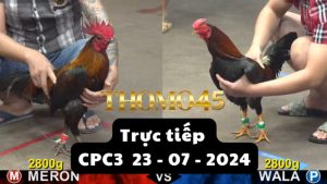 Trực Tiếp thomo CPC3 ngày 23-07-2024