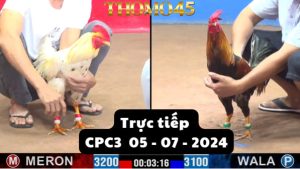 Trực Tiếp thomo CPC3 ngày 05-07-2024