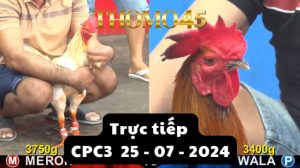 Trực Tiếp thomo CPC3 ngày 25-07-2024