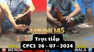 Trực Tiếp thomo CPC3 ngày 26-07-2024