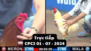 Trực Tiếp thomo CPC3 ngày 01-07-2024