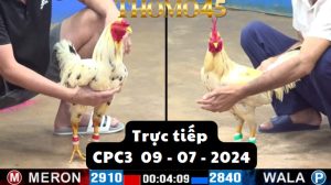 Trực Tiếp thomo CPC3 ngày 09-07-2024