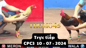 Trực Tiếp thomo CPC3 ngày 10-07-2024