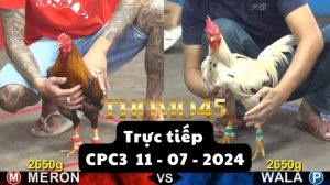 Trực Tiếp thomo CPC3 ngày 11-07-2024