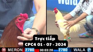 Trực Tiếp thomo CPC4 ngày 01-07-2024