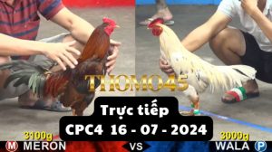 Trực Tiếp thomo CPC4 ngày 16-07-2024
