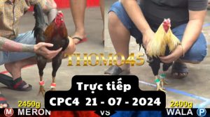 Trực Tiếp thomo CPC4 ngày 21-07-2024
