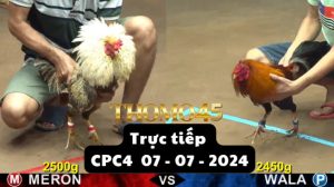Trực Tiếp thomo CPC4 ngày 07-07-2024