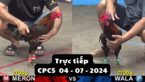 Trực Tiếp thomo CPC5 ngày 04-07-2024