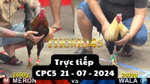 Trực Tiếp thomo CPC5 ngày 21-07-2024