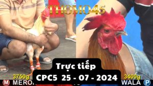 Trực Tiếp thomo CPC5 ngày 25-07-2024