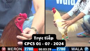 Trực Tiếp thomo CPC5 ngày 01-07-2024