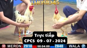 Trực Tiếp thomo CPC5 ngày 09-07-2024