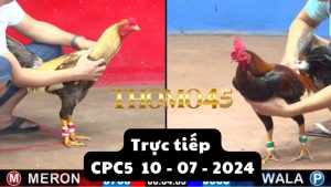 Trực Tiếp thomo CPC5 ngày 10-07-2024