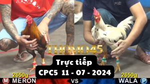 Trực Tiếp thomo CPC5 ngày 11-07-2024