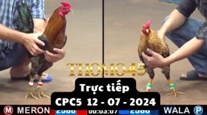Trực Tiếp thomo CPC5 ngày 12-07-2024