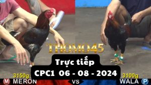 Trực Tiếp thomo CPC1 ngày 06-08-2024