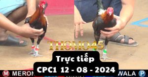 Trực Tiếp thomo CPC2 ngày 11-08-2024