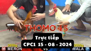 Trực Tiếp thomo CPC1 ngày 15-08-2024