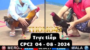 Trực Tiếp thomo CPC2 ngày 04-08-2024