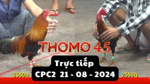Trực Tiếp thomo CPC2 ngày 21-08-2024