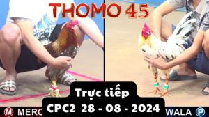Trực Tiếp thomo CPC2 ngày 28-08-2024