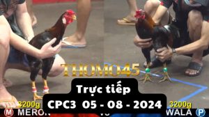 Trực Tiếp thomo CPC3 ngày 05-08-2024