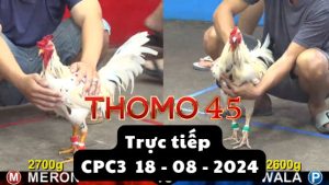 Trực Tiếp thomo CPC3 ngày 18-08-2024