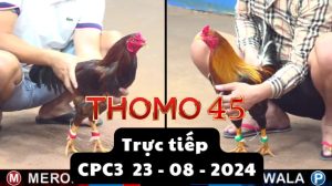 Trực Tiếp thomo CPC3 ngày 23-08-2024