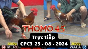 Trực Tiếp thomo CPC3 ngày 25-08-2024