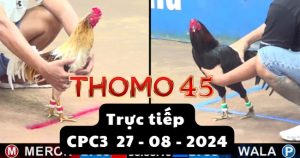 Trực Tiếp thomo CPC3 ngày 27-08-2024