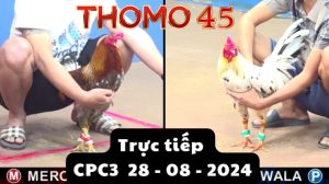 Trực Tiếp thomo CPC3 ngày 28-08-2024
