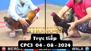 Trực Tiếp thomo CPC3 ngày 04-08-2024