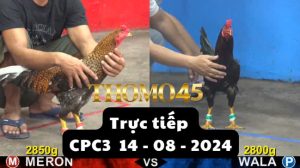 Trực Tiếp thomo CPC3 ngày 14-08-2024