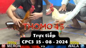 Trực Tiếp thomo CPC3 ngày 15-08-2024