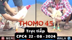 Trực Tiếp thomo CPC4 ngày 22-08-2024