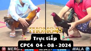 Trực Tiếp thomo CPC4 ngày 04-08-2024